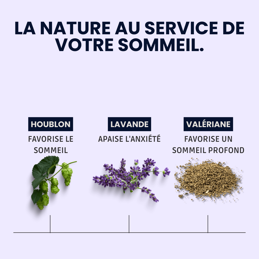 Patch De sommeil - Morpheopatch